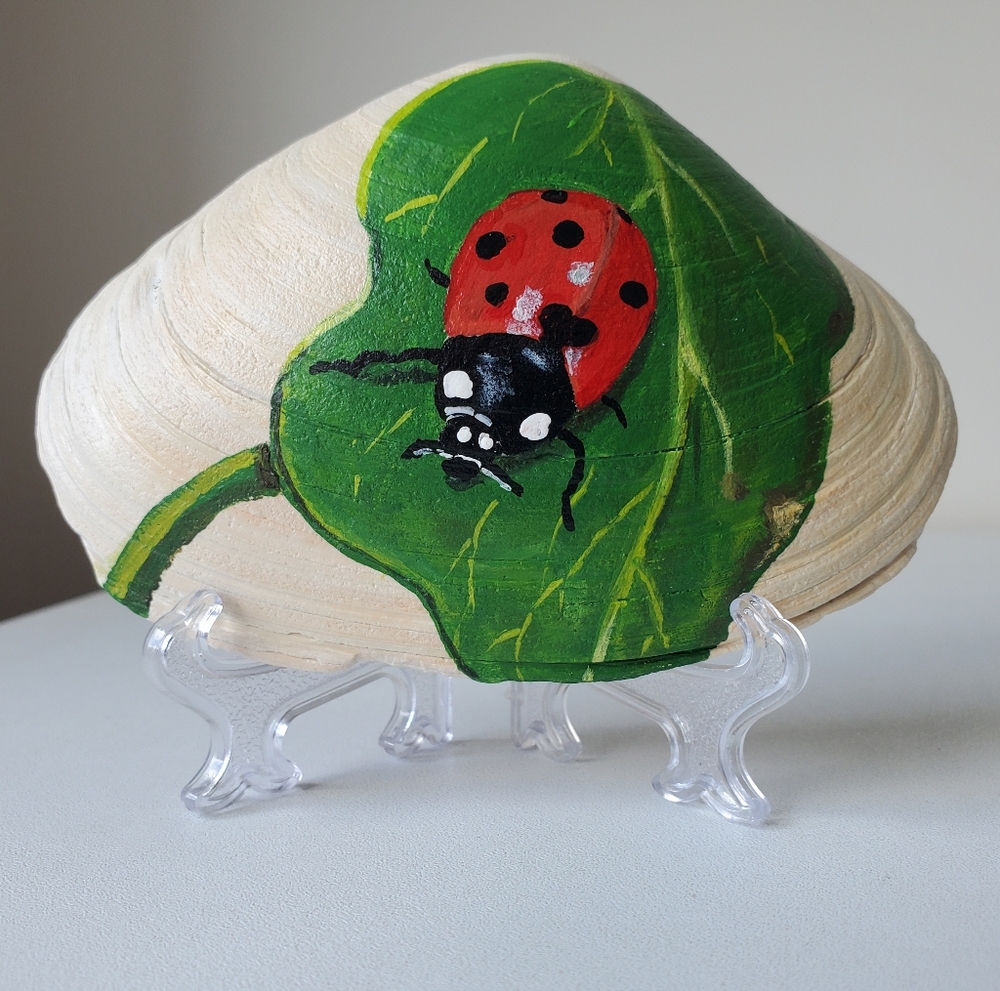 Original Red Ladybug on Leaf Hand-Painted 4.25" Cottagecore Seashell By Art4annz